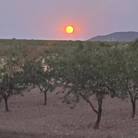 شقة Cortijo Calma - Countryside Peace & Tranquility Oria المظهر الخارجي الصورة