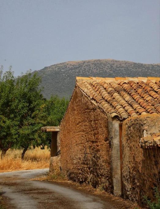 شقة Cortijo Calma - Countryside Peace & Tranquility Oria المظهر الخارجي الصورة